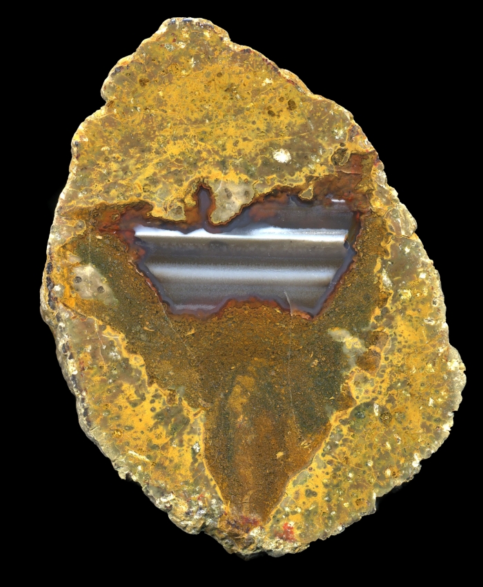Radford Thunderegg
